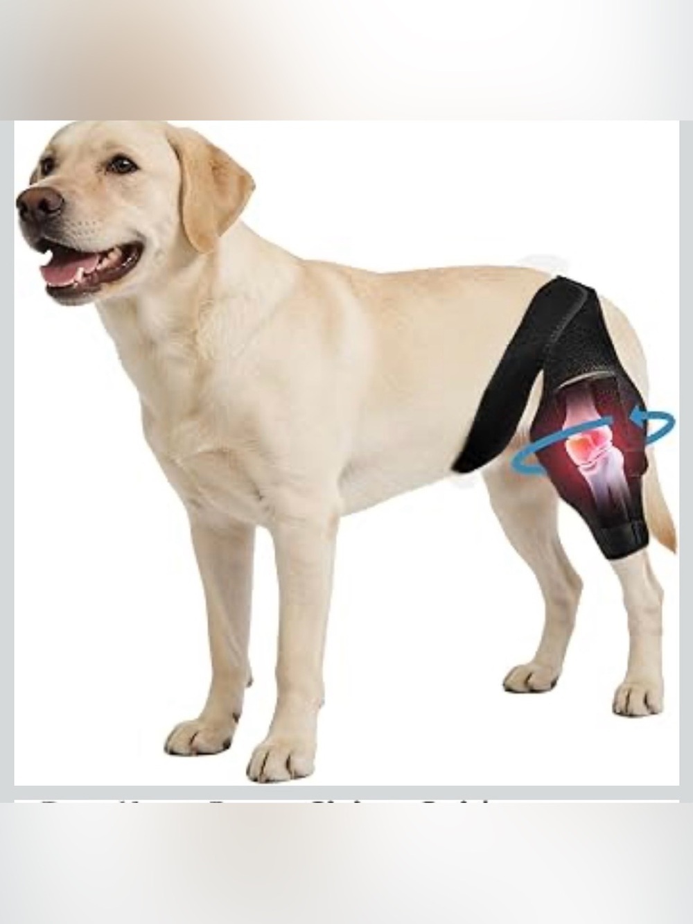Dog Knee Brace For Torn ACL/CCL & Hind Leg Support - XL 1071/bb6